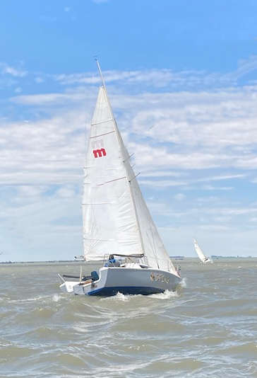 Little Microsail