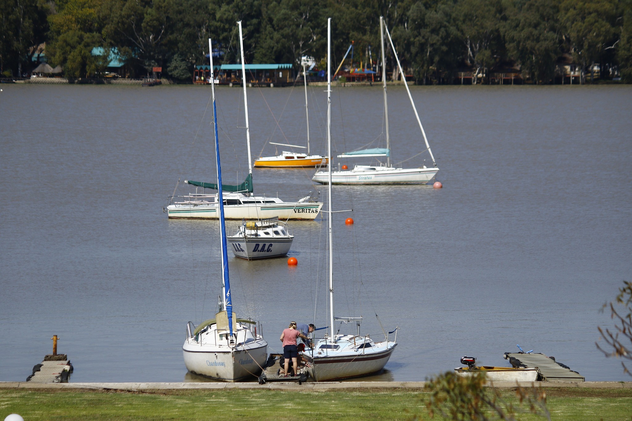 Sailboats on calm water